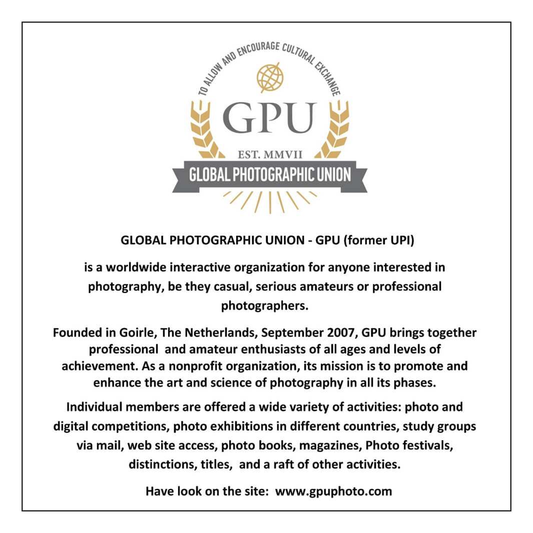 PIPA PHOTO CIRCUIT