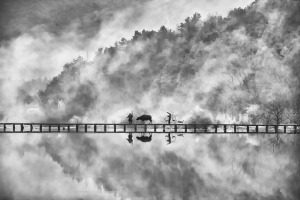 PhotoVivo Bronze Medal - Feng Lee (Taiwan)Lishui Abstract Reflection