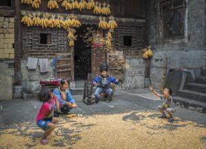 IUP Honor Mention - Chen Ni (China)  Joy Of Harvest