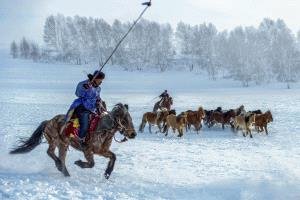 PhotoVivo Gold Medal - Yun Lin (China)  Riding A Horse
