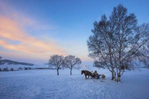 PIPA Merit Award - Guojun Huo (China)  Winter Scenery