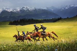 PIPA Gold Medal - Jing Gu (China)  Riding Horse