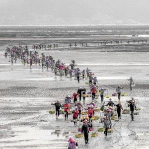 PIPA Gold Medal - Wei Zhu (China)  Beach Coming Back