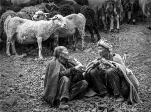 IUP Honor Mention - Jixian Shi (China)  Shepherd