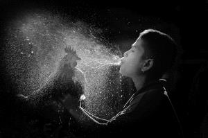 PhotoVivo Honor Mention - Liew Ted Ghee (Malaysia)  Water Spray
