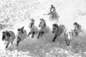 APAS Honor Mention e-certificate - Mingyou Zhang (China)  Gallop In The Snow